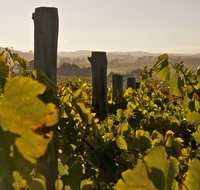 Wimbaliri Wines - Accommodation QLD