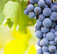 Eden Road Wines - Accommodation QLD