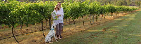 Greenway Wines - Accommodation QLD 1