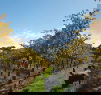 Ruddenklau Wines - Accommodation QLD