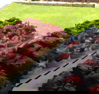 That Food Truck - Accommodation QLD