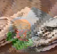 The Good Wolf - Accommodation QLD