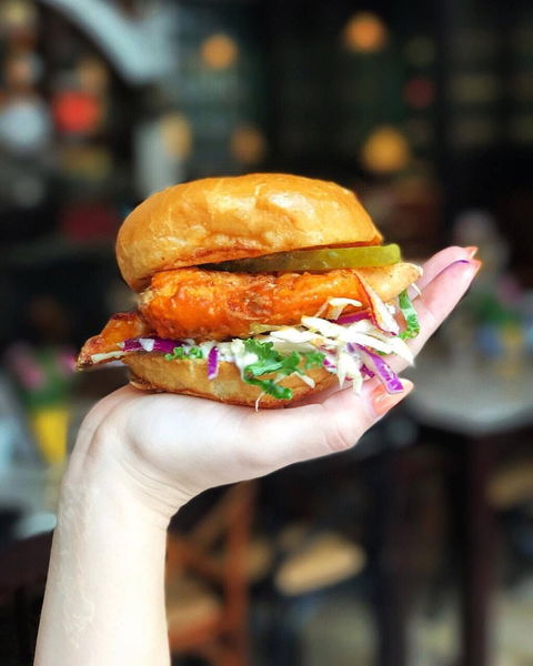 CBD Noodle - Accommodation QLD 0