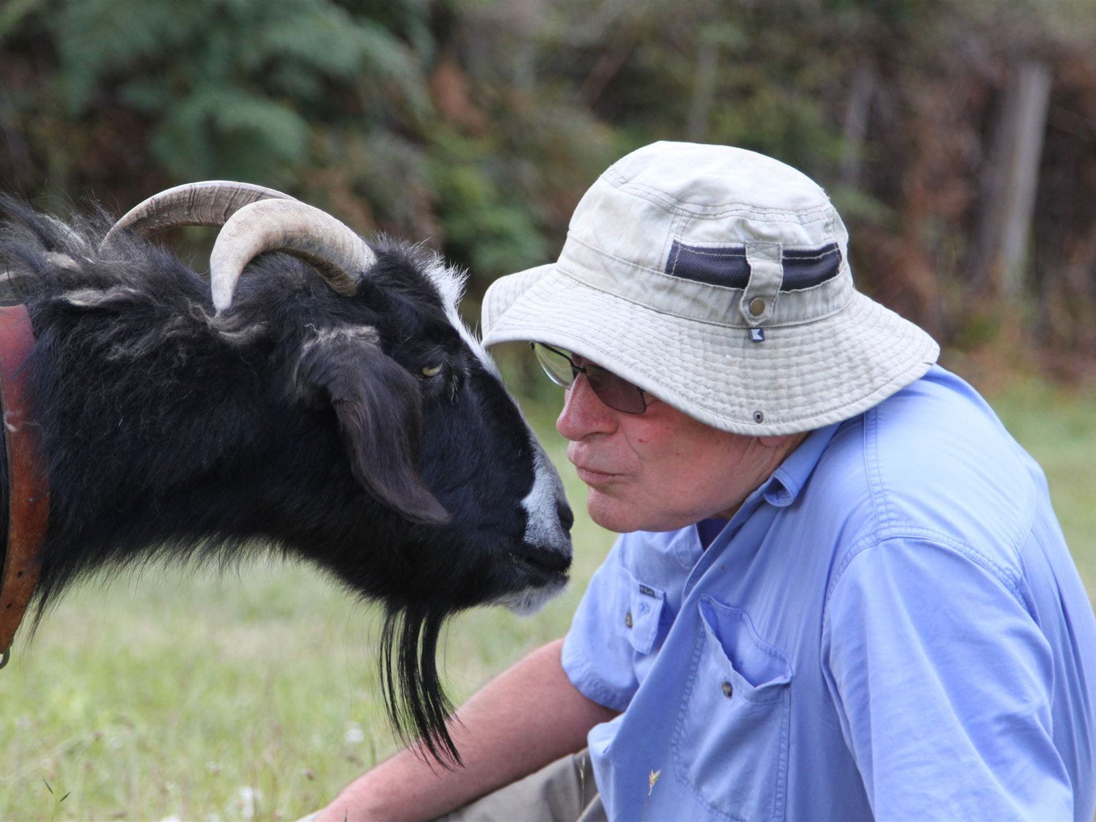 Karoola TAS Accommodation QLD