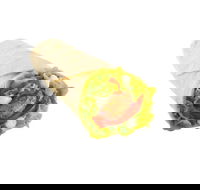 Oporto - Petrie Terrace - Accommodation QLD