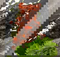 Royal India Restobar - Accommodation QLD