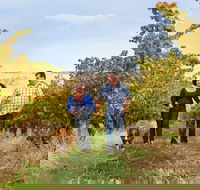 WayWood Wines - Accommodation QLD