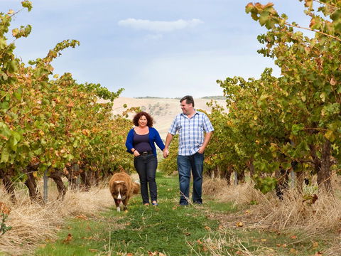 WayWood Wines - Accommodation QLD 0