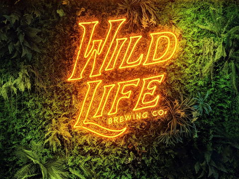 Wild Life Brewing Co. - Accommodation QLD 0