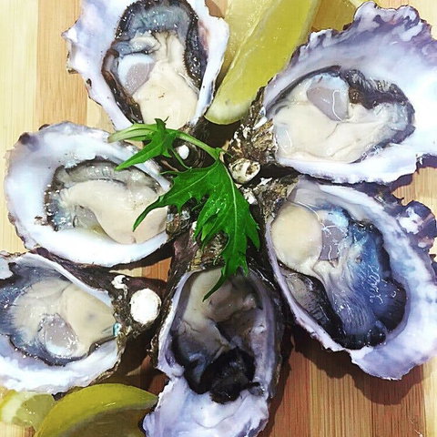 Captain & Co Fish Bar - Accommodation QLD 0