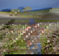 Kurtz Family Vineyards - Accommodation QLD