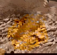 Malmsbury Hotel - Accommodation QLD