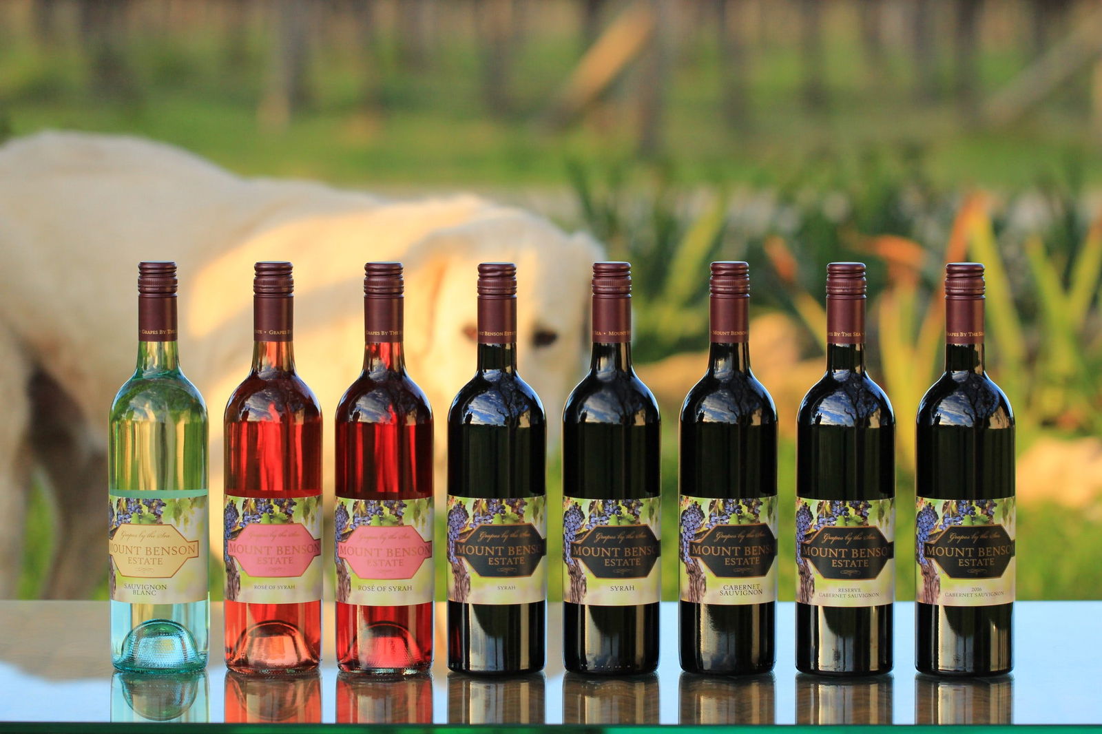 Wangolina SA Accommodation QLD