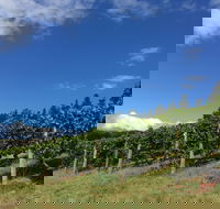 Freycinet Vineyard - Accommodation QLD