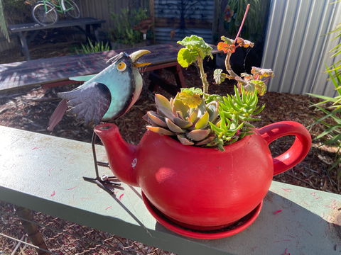 The Coffee Bank - Accommodation QLD 1