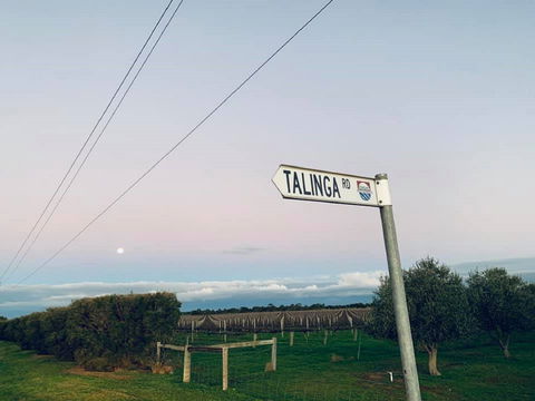 Talinga Grove - Accommodation QLD 2