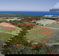 Wise Wine - Accommodation QLD