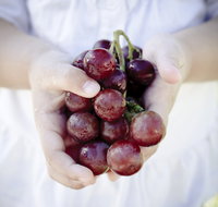 Granitevale Winery - Accommodation QLD