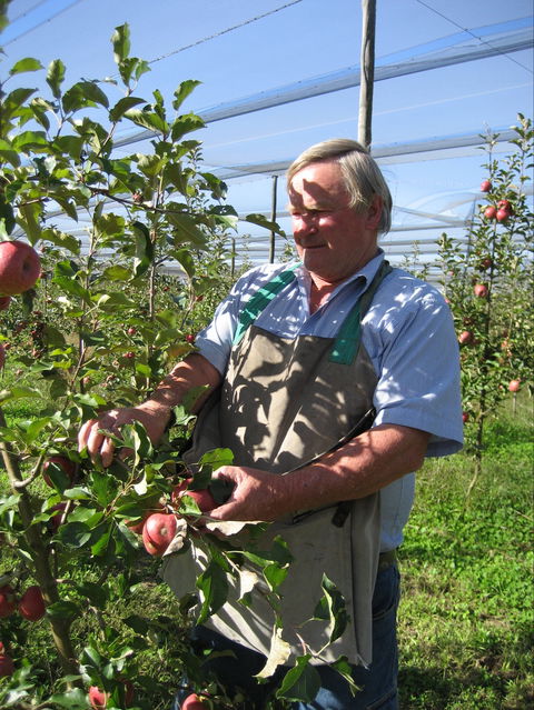 Suttons Juice Factory And Cidery - Accommodation QLD 1