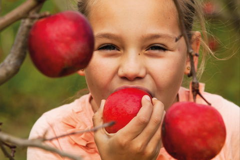 Suttons Juice Factory And Cidery - Accommodation QLD 2