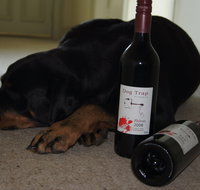 Dog Trap Vineyard - Accommodation QLD