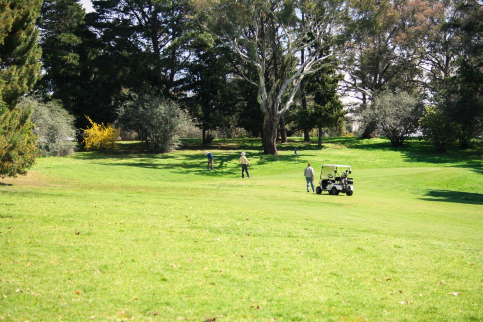 Mullion NSW Accommodation QLD