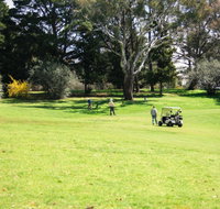 Restaurant at the Golfie - Accommodation QLD
