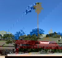 The Vine Hotel North Wangaratta - Accommodation QLD
