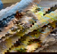 Philly Up - Accommodation QLD