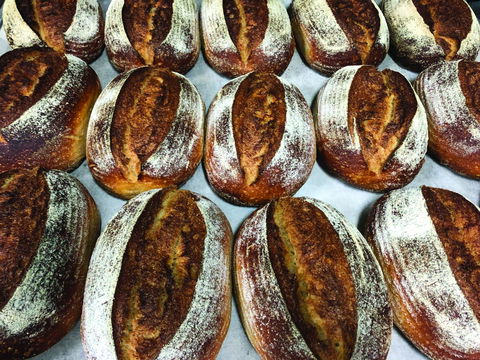 Farmer's Bakehouse - Accommodation QLD 0