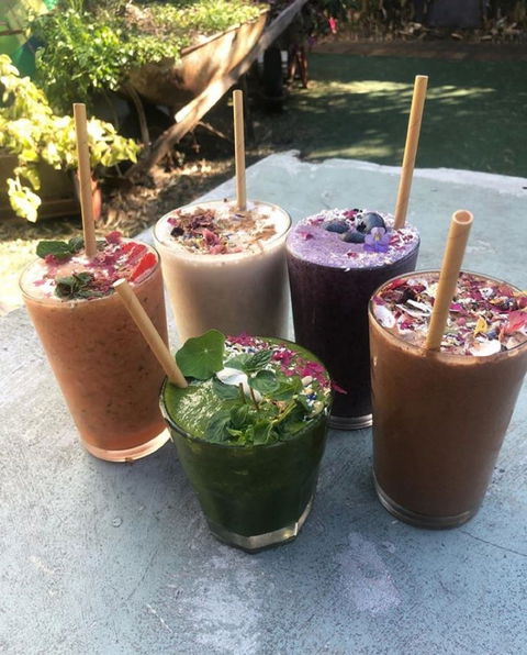 Garden Grub Cafe - Accommodation QLD 0