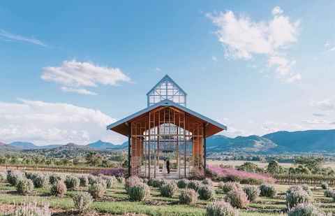 Kooroomba Vineyard And Lavender Farm - Accommodation QLD 0