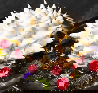 Les Bistronomes - Accommodation QLD