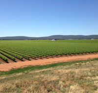 Melange Wines - Accommodation QLD
