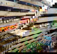 Teamo Teahouse - Accommodation QLD