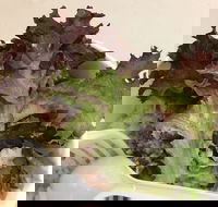 Hanaichi - Chermside - Accommodation QLD