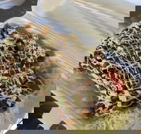 Meshiya Japanese - Accommodation QLD