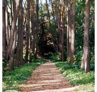 The Field of Dreams Cafe - Accommodation QLD