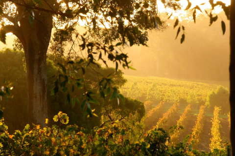 Deep Woods Estate - Accommodation QLD 1