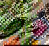 Sasaki - Accommodation QLD