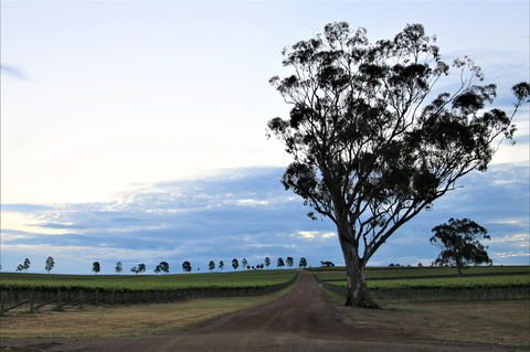 Two Rivers Wines - Accommodation QLD 1