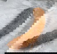 Blue Ocean - Accommodation QLD