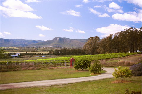Catherine Vale Wines - Accommodation QLD 0