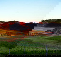 Dalwhinnie Wines - Accommodation QLD