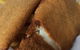 Fish Depot - Redland Bay - thumb 0
