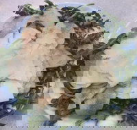 Portone Wood Fired Pizza - Accommodation QLD