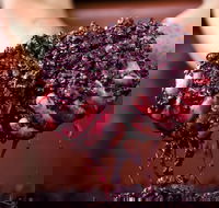 Punt Road Winery - Accommodation QLD