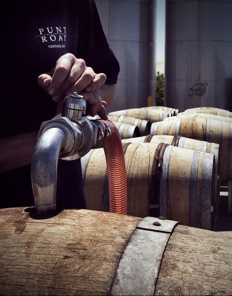 Punt Road Winery - Accommodation QLD 2