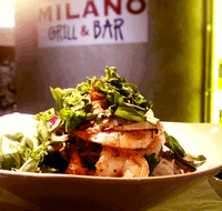 Milano Grill  Bar - Accommodation QLD