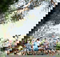 St Leonards Vineyard Caf - Accommodation QLD